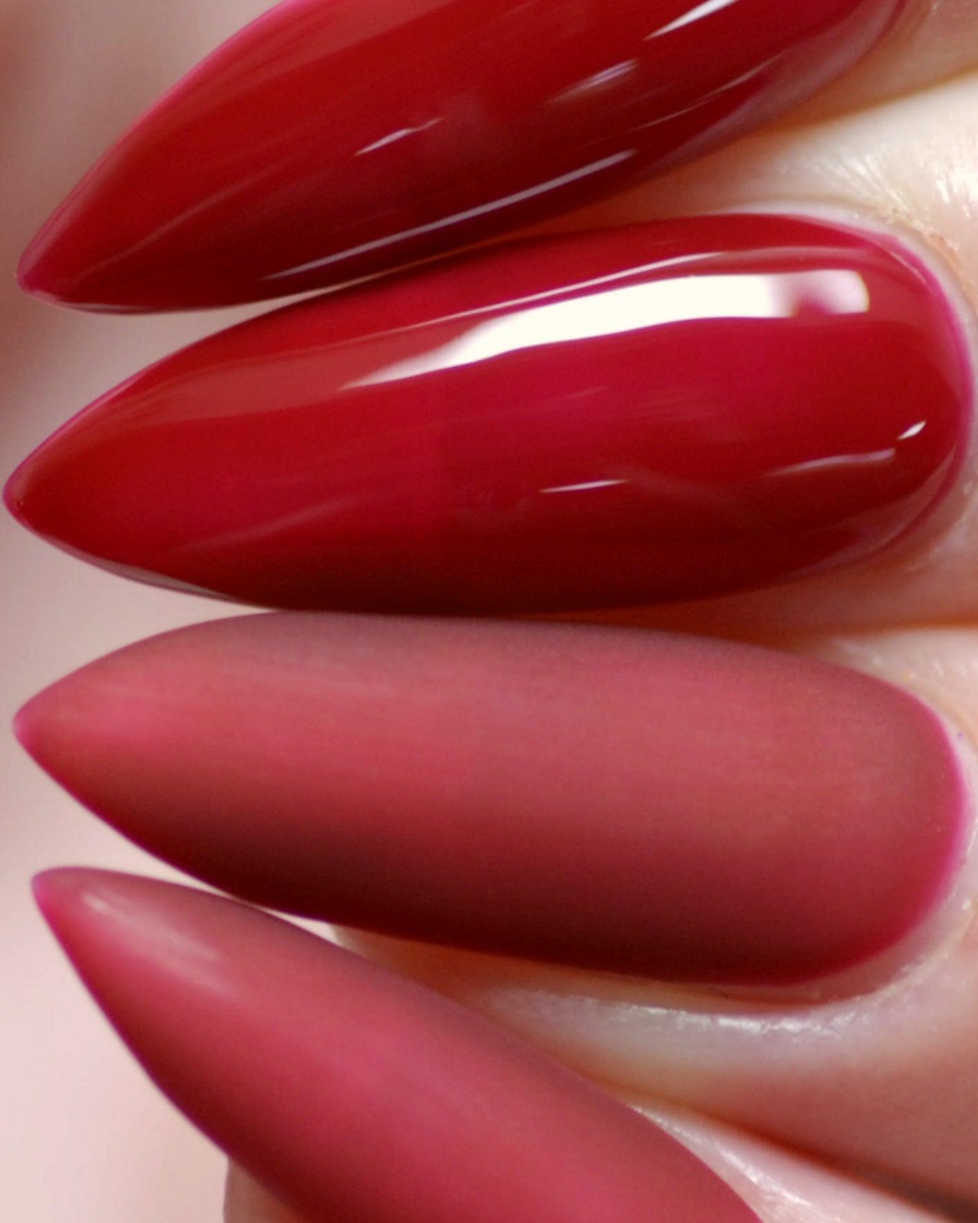 BSC Jelly Gel | Bordeaux J-009