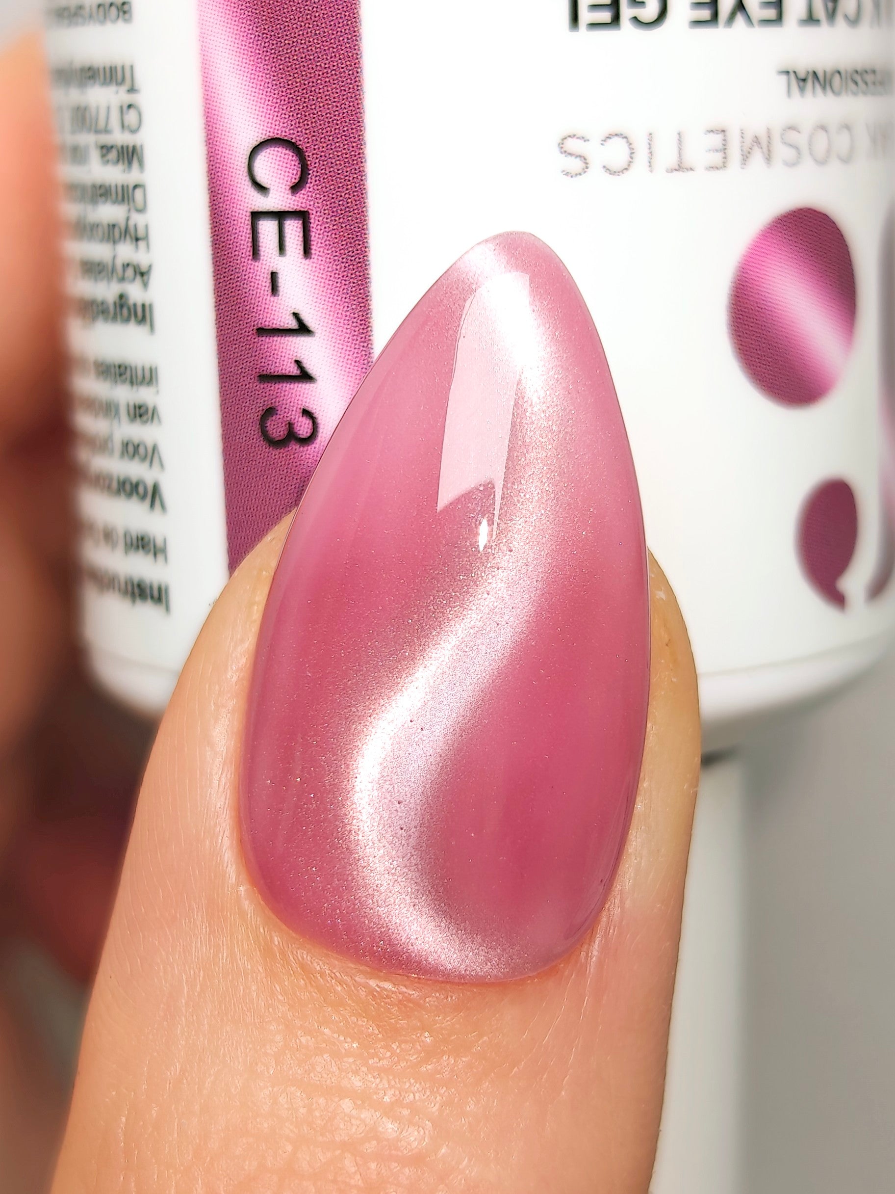 CE-113 | Silk Cat Eye Gel Polish