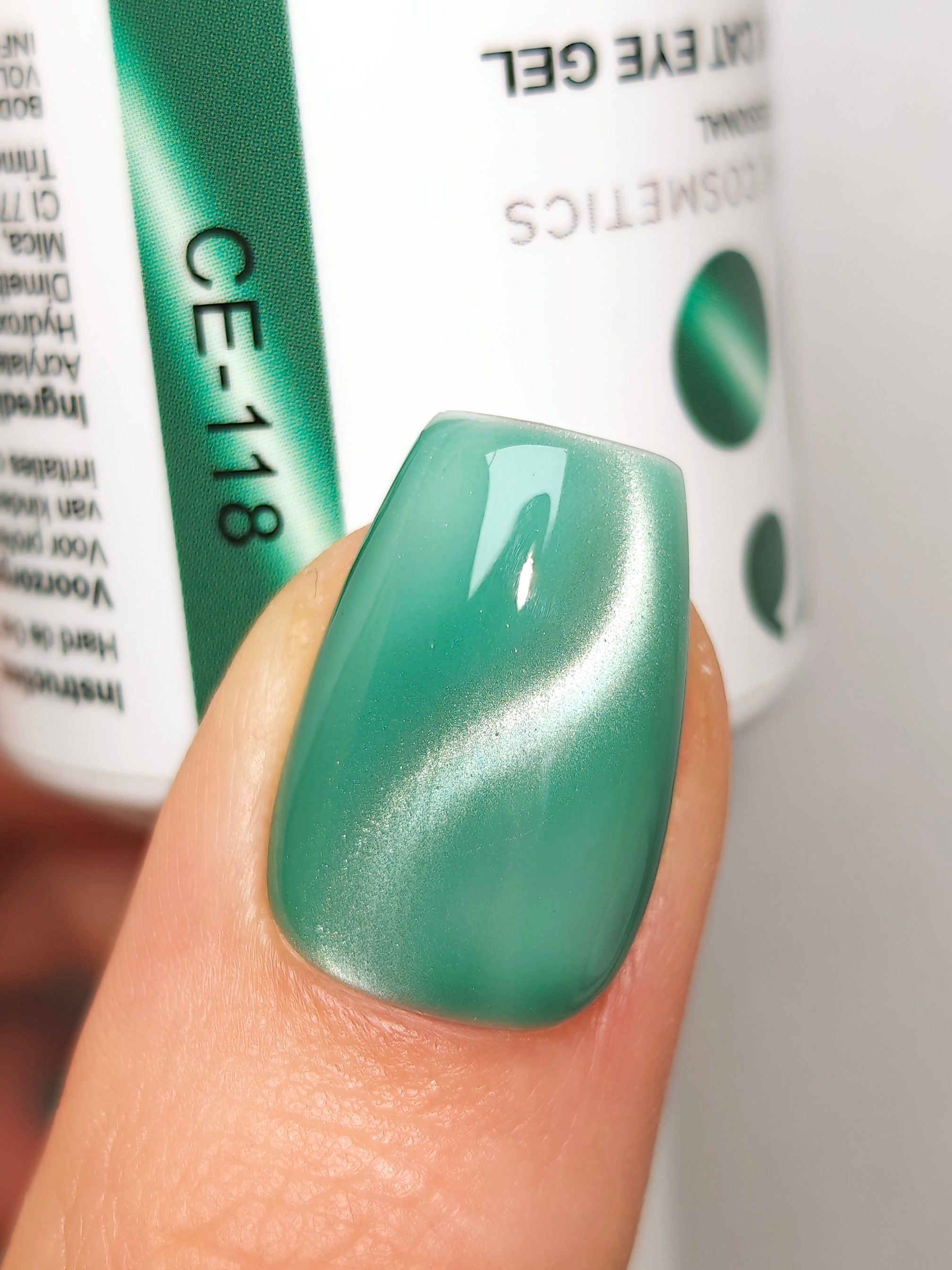 CE-118 | Silk Cat Eye Gel Polish