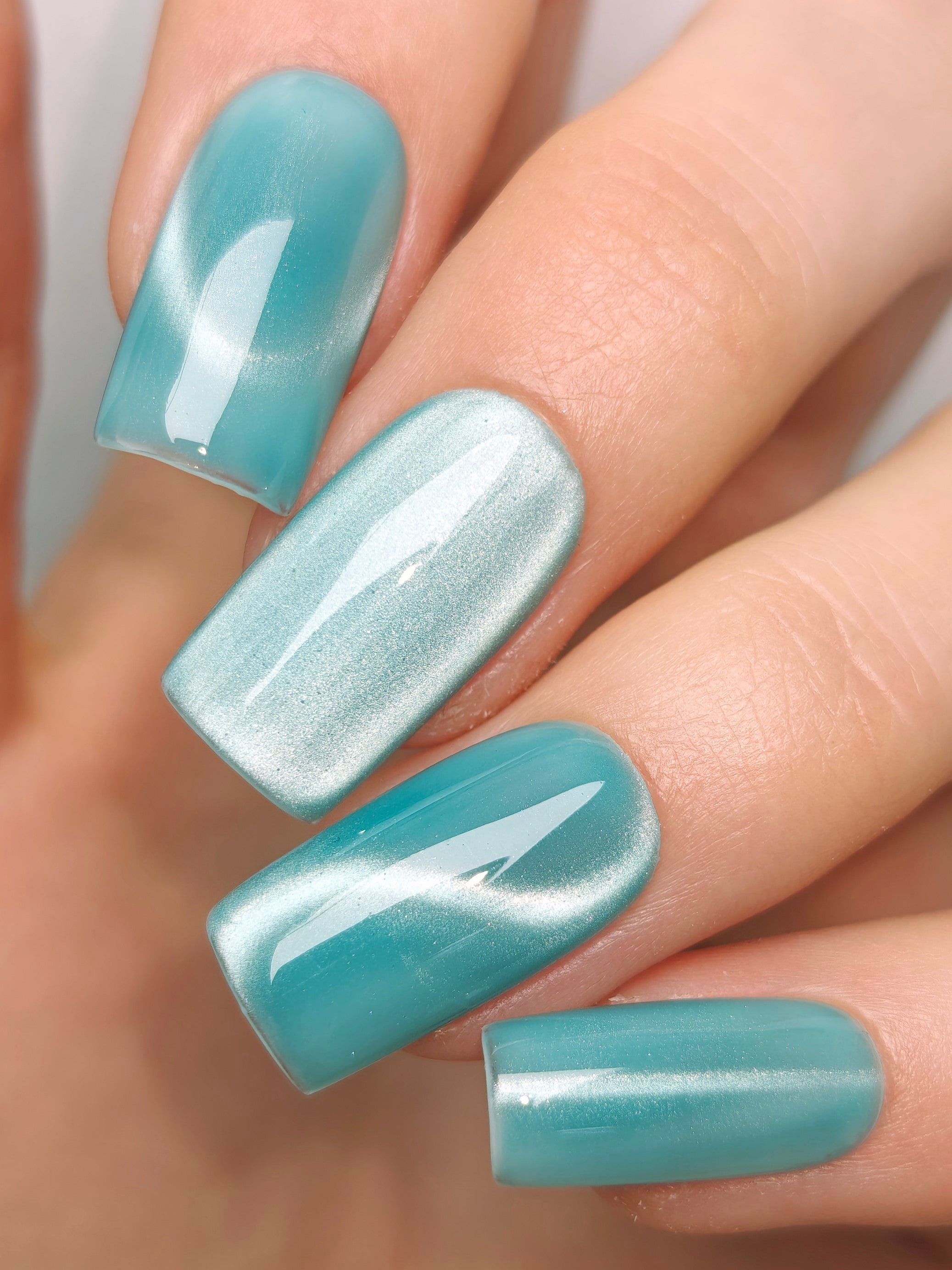 CE-119 | Silk Cat Eye Gel Polish