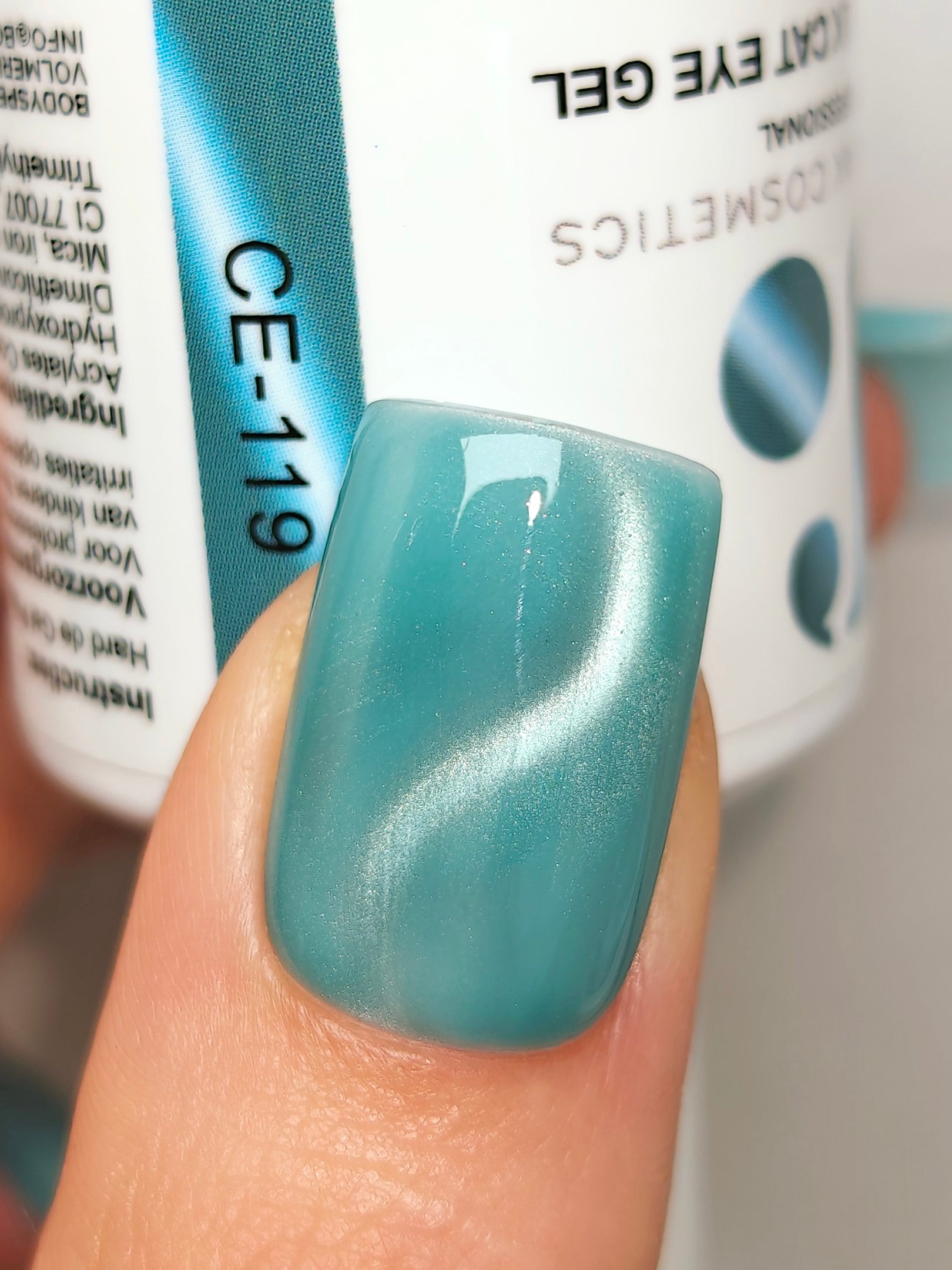 CE-119 | Silk Cat Eye Gel Polish