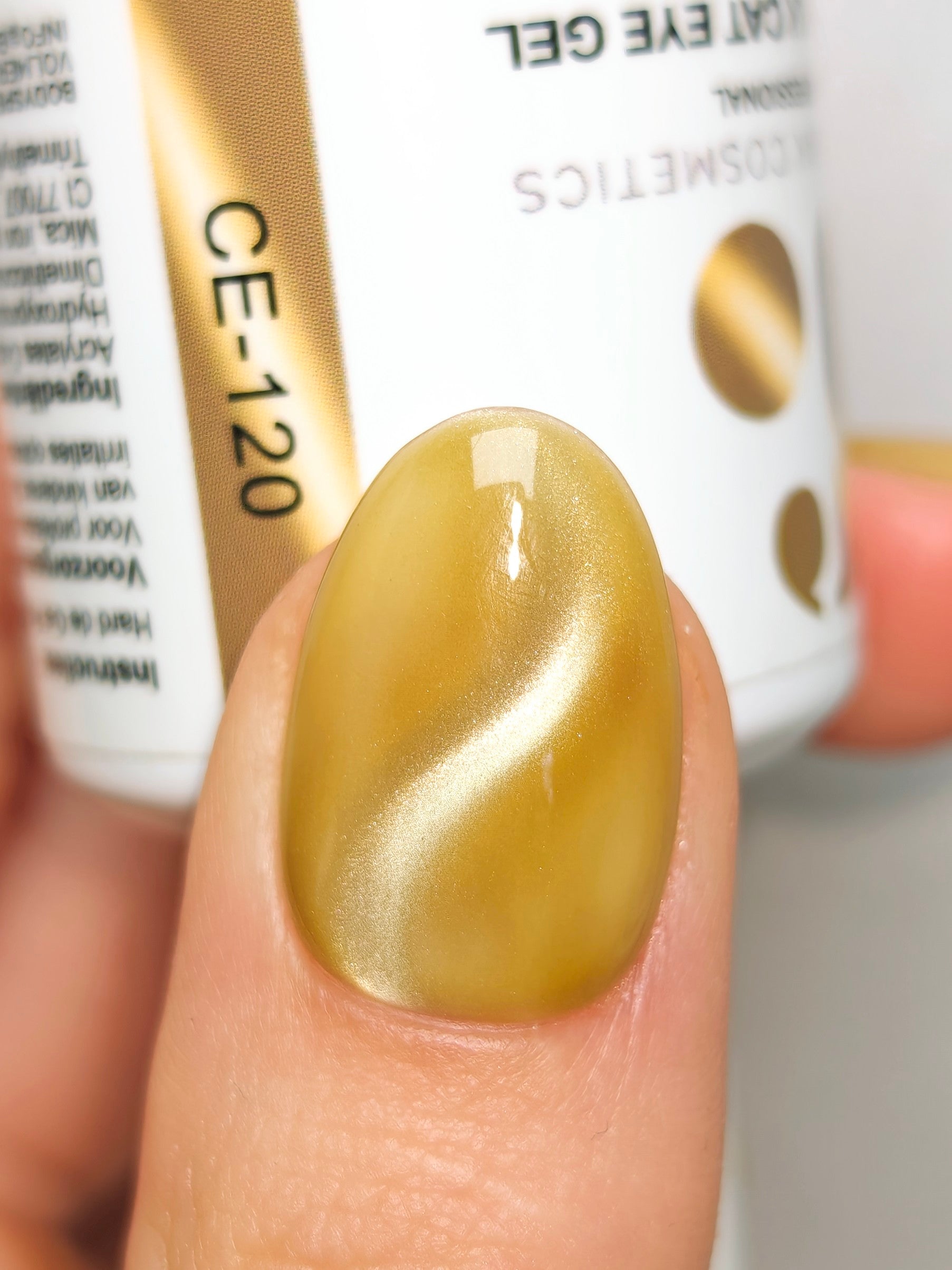 CE-120 | Silk Cat Eye Gel Polish