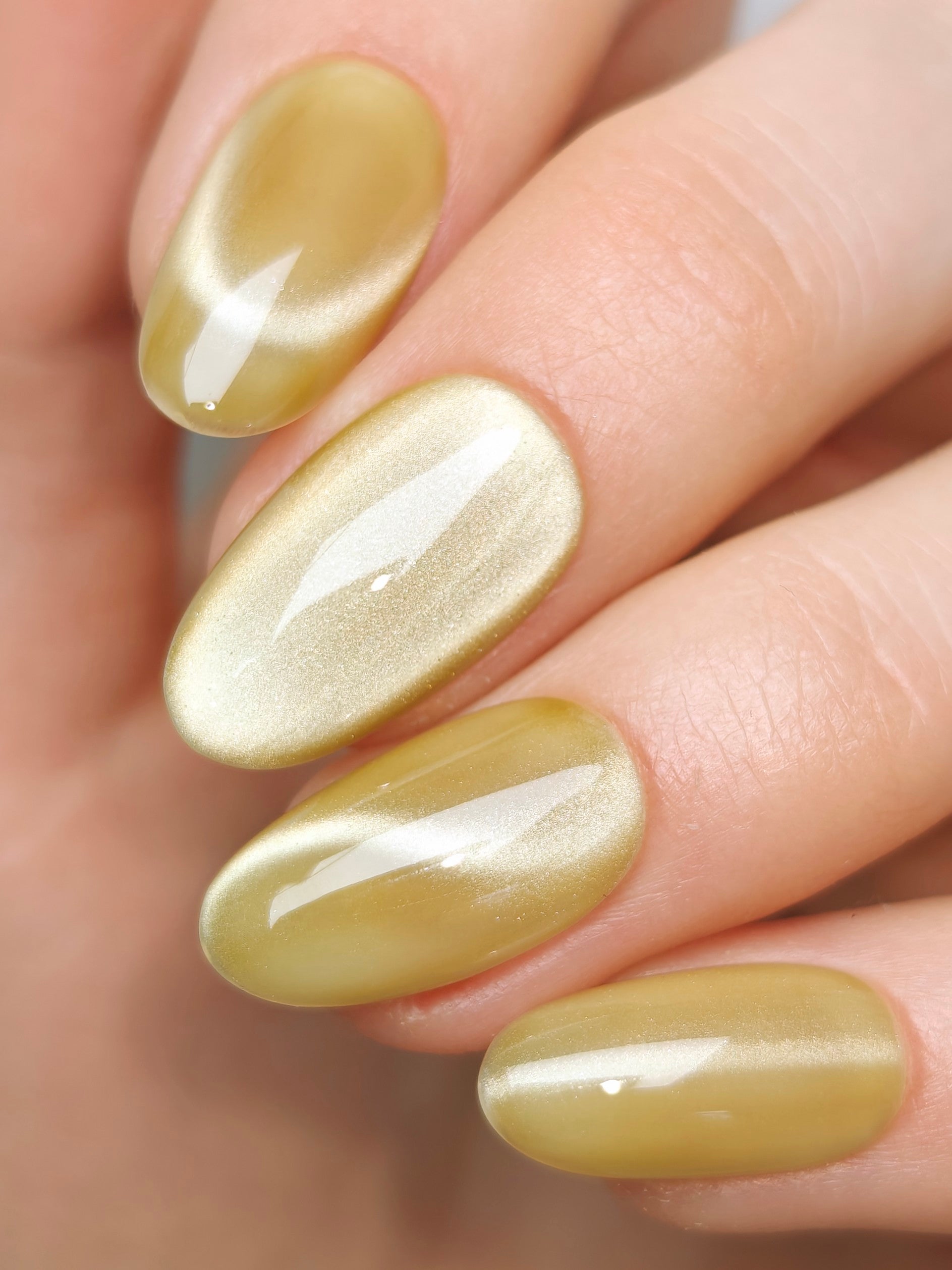 CE-120 | Silk Cat Eye Gel Polish