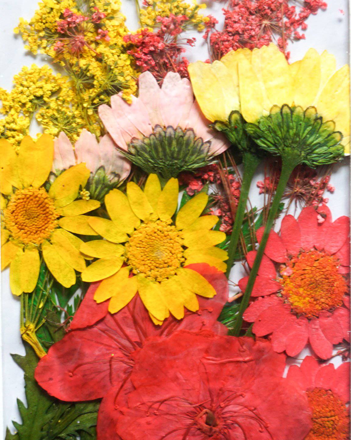 Gedroogde Bloemen Mix 2 | BSC Nail Art