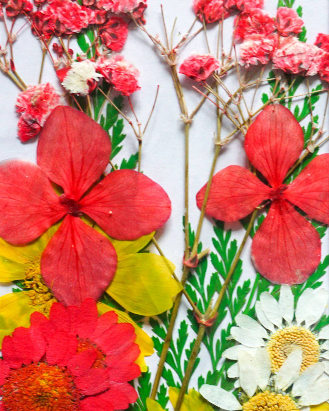 Gedroogde Bloemen Mix 5 | BSC Nail Art