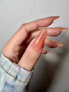 BSC Acryl Gel | Nude #013