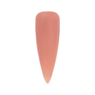 Nude #017 | BSC Acryl Gel in tube 30 gram.